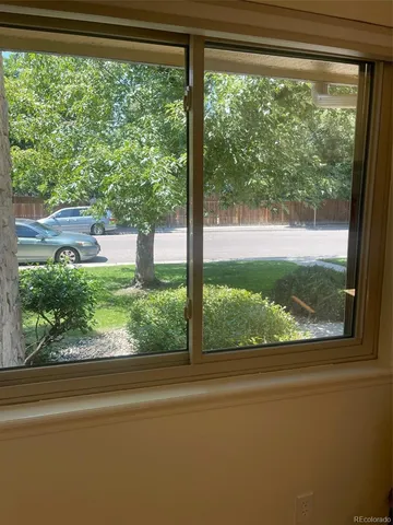 a view of a yard from a window