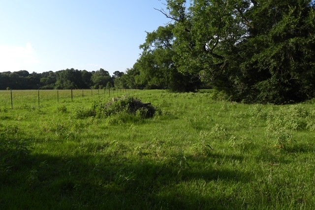 28322 Mellman Road Hempstead, TX 77445 - Photo 47 of 50