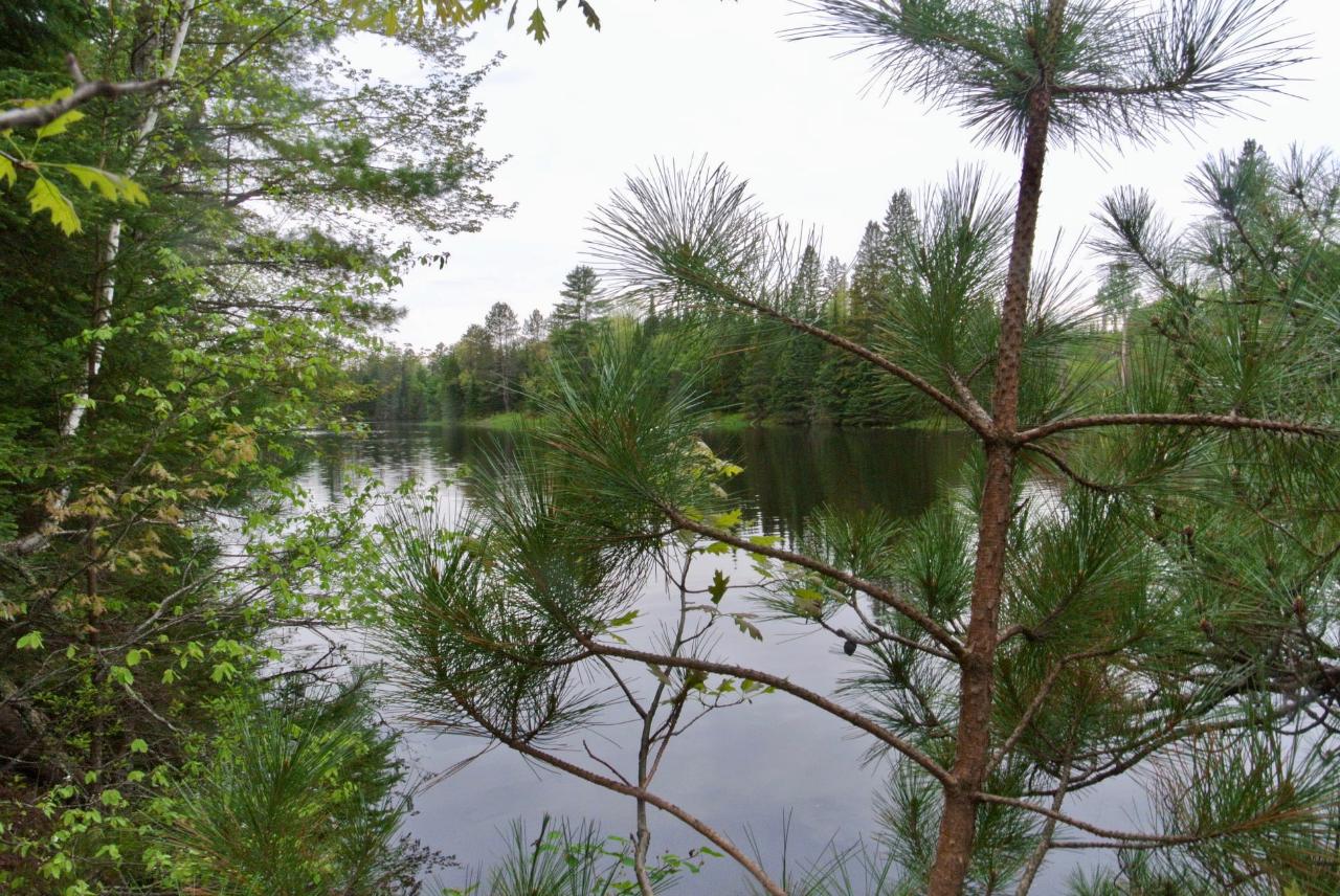 6420 River Road Eagle River, WI 54521 - Photo 19 of 24 Gallery Image 19