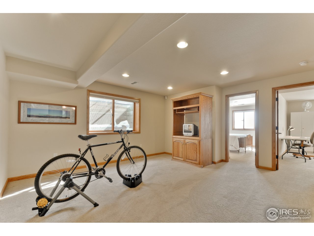 1815 Red Cloud Road Longmont, CO 80504 - Photo 33 of 40 Basement