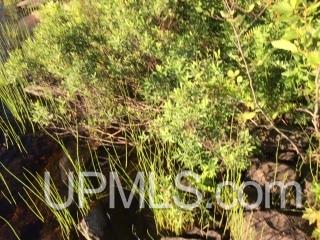Tbd Cardinal Point Road Michigamme, MI 49861 - Photo 9 of 9