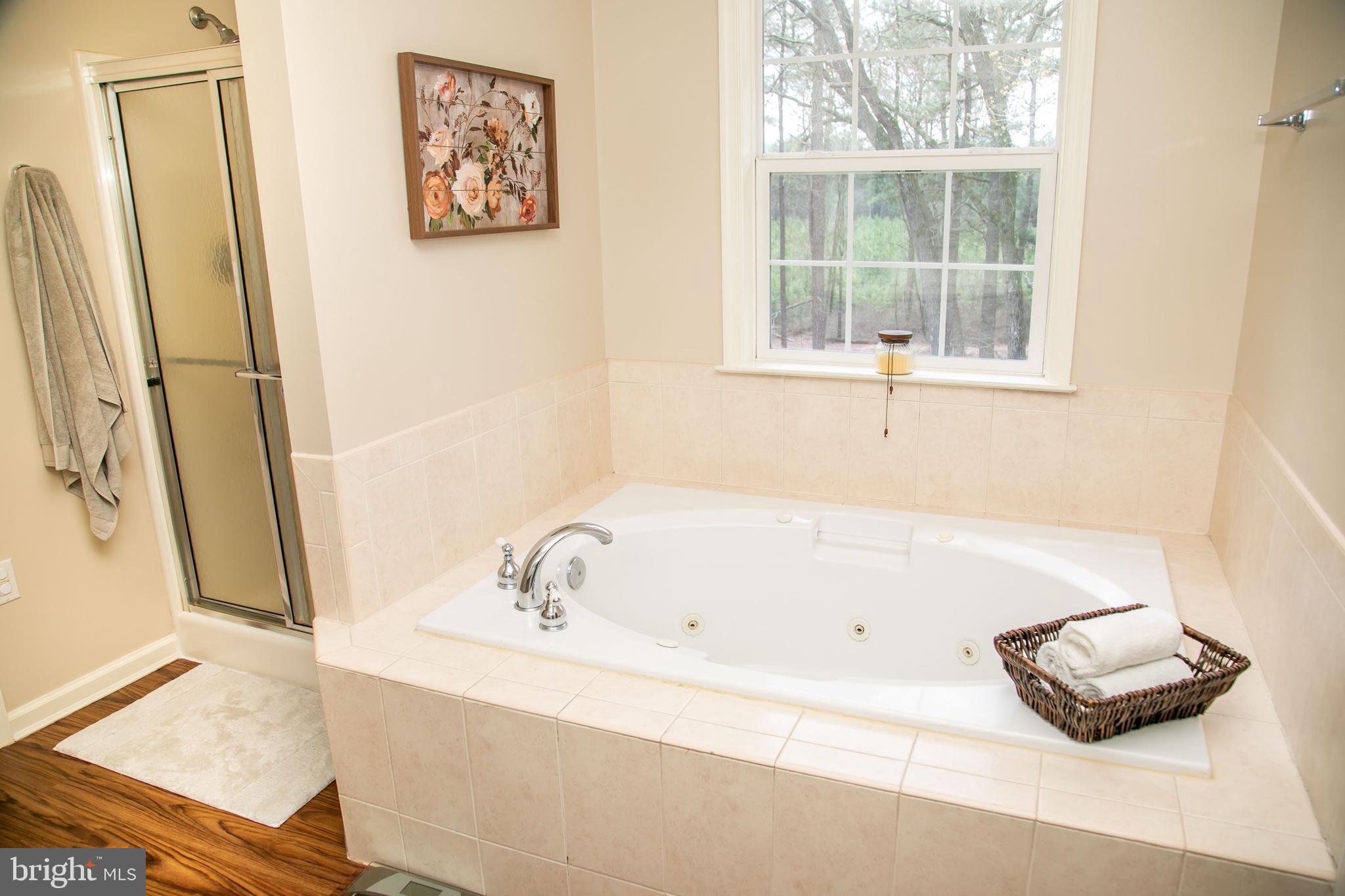 7191 Meadow Bridge Road Princess Anne, MD 21853 - Photo 31 of 53