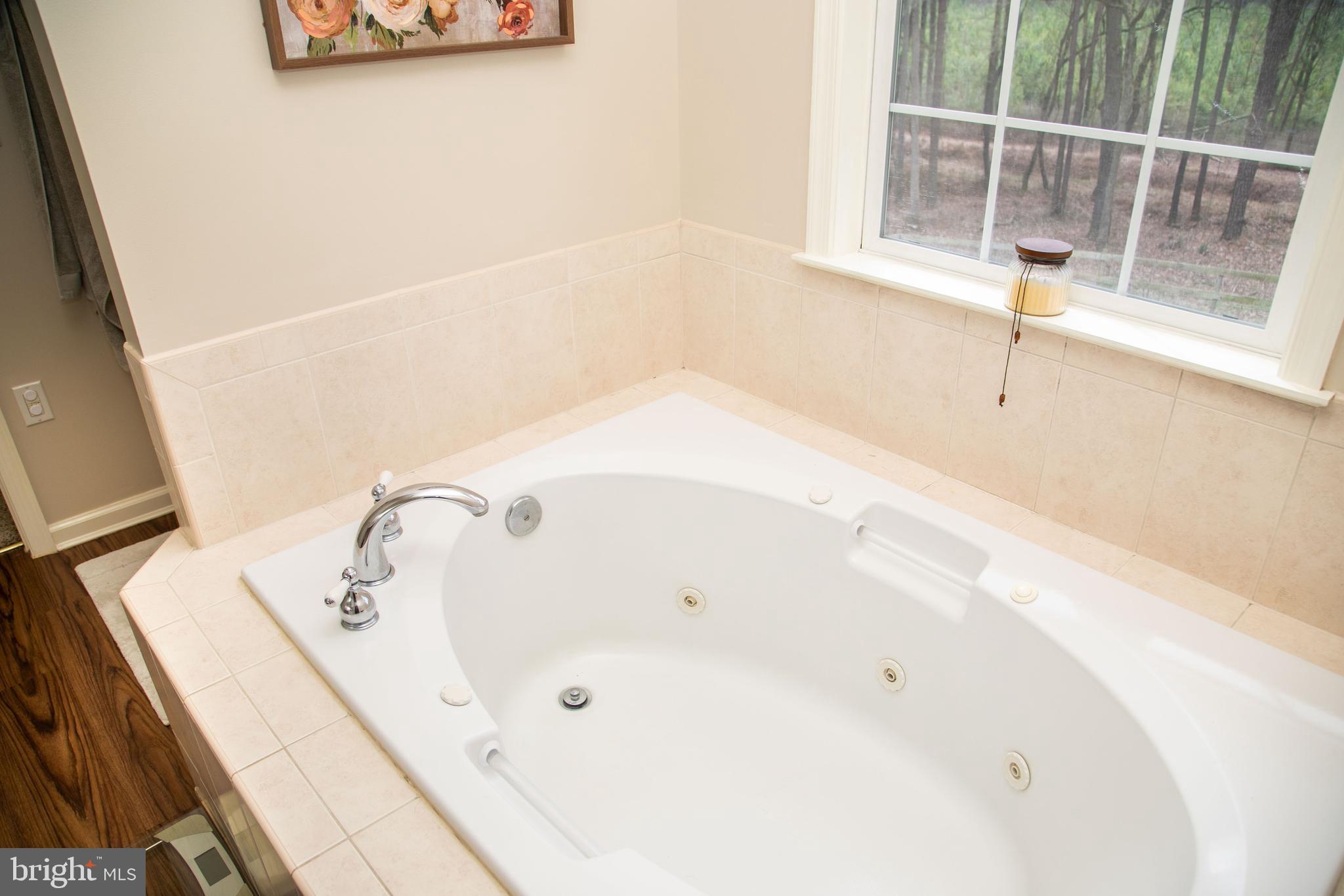 7191 Meadow Bridge Road Princess Anne, MD 21853 - Photo 32 of 53