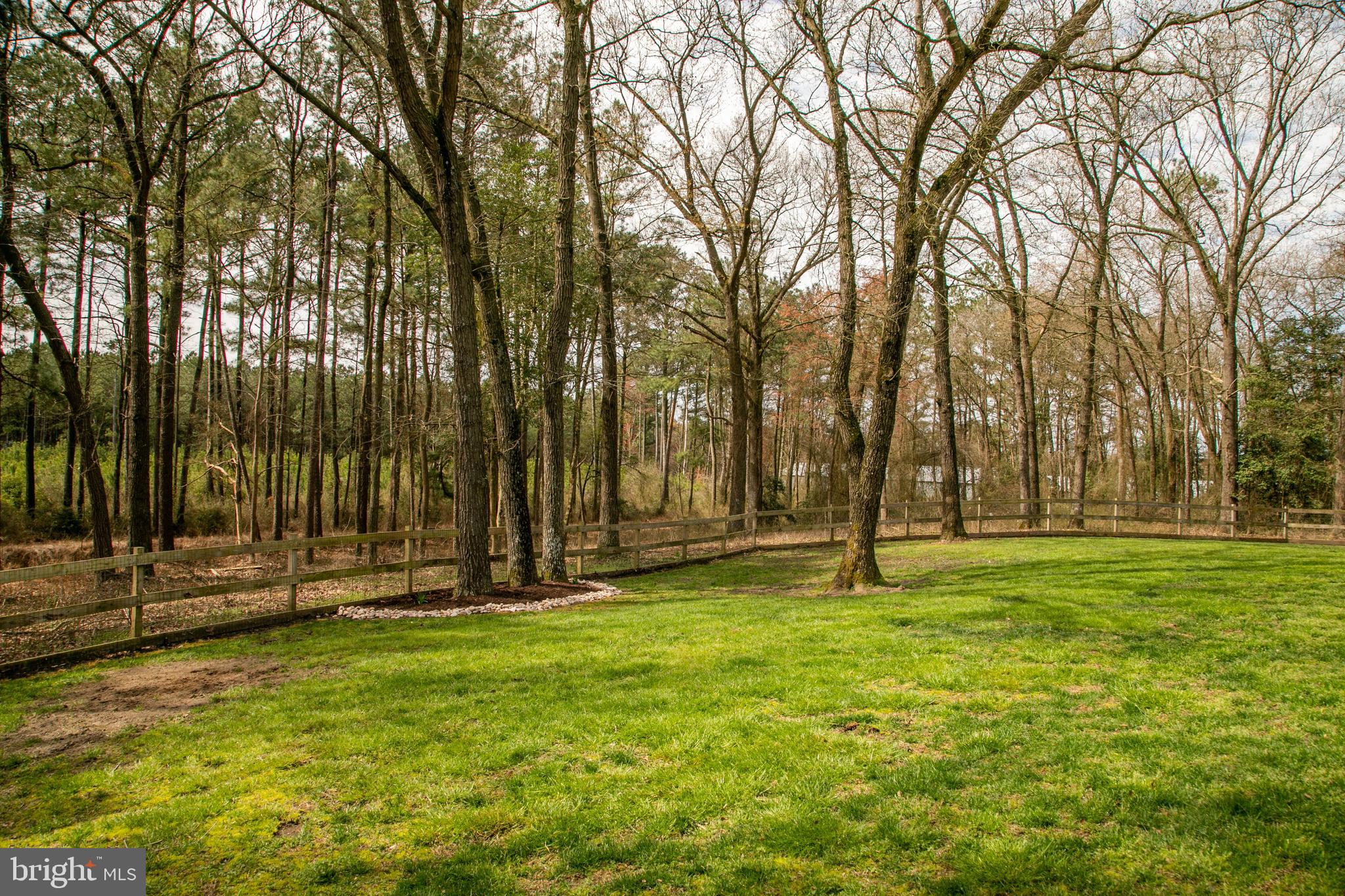7191 Meadow Bridge Road Princess Anne, MD 21853 - Photo 49 of 53