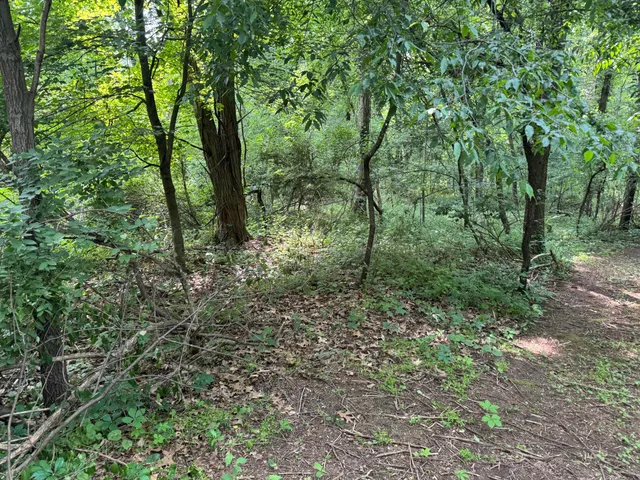 $119,000 | 53644 North Fisher Lake Road, Three Rivers, MI 49093