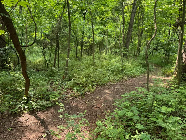 $119,000 | 53644 North Fisher Lake Road, Three Rivers, MI 49093