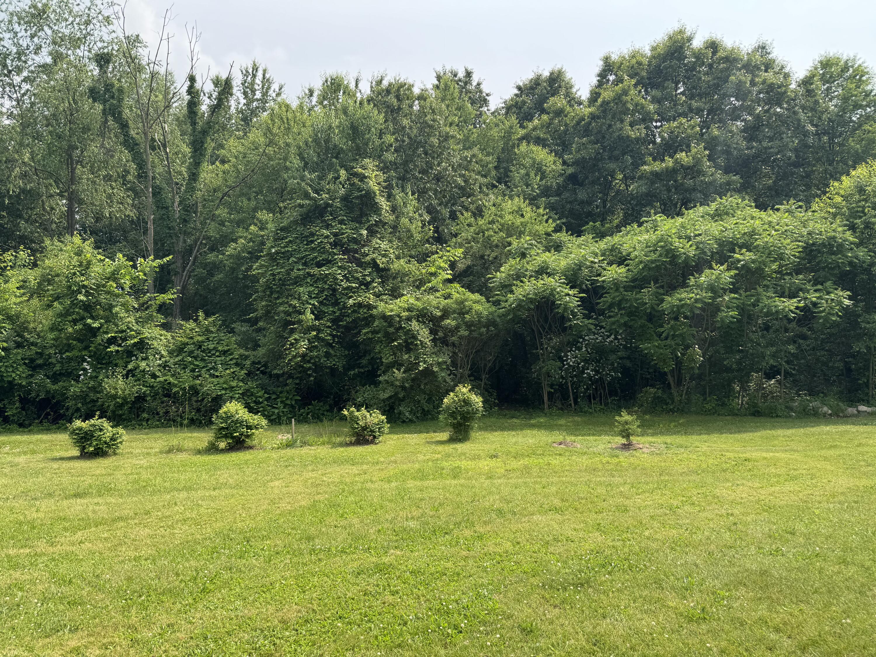 53644 North Fisher Lake Road Three Rivers, MI 49093 - Photo 15 of 27 IMG_0762