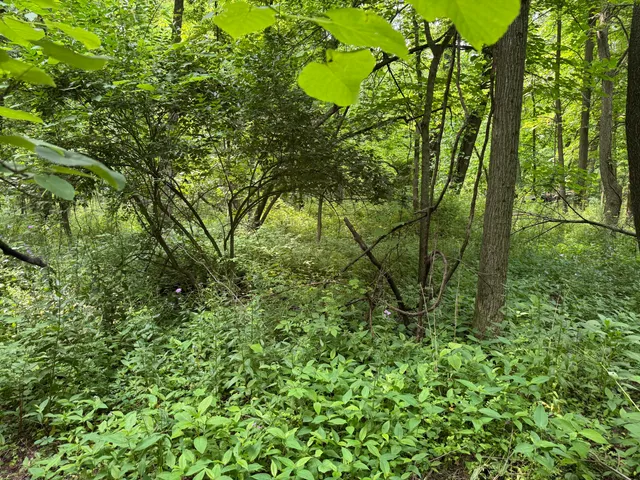 $119,000 | 53644 North Fisher Lake Road, Three Rivers, MI 49093