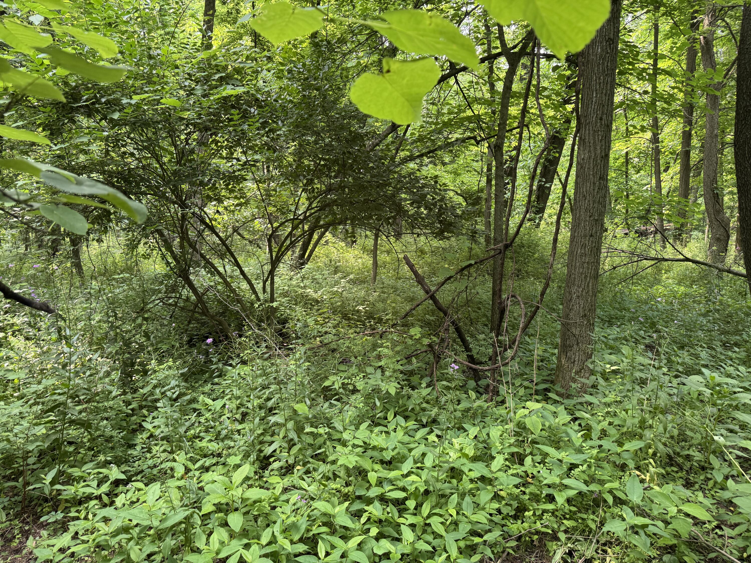 53644 North Fisher Lake Road Three Rivers, MI 49093 - Photo 9 of 27 IMG_0768