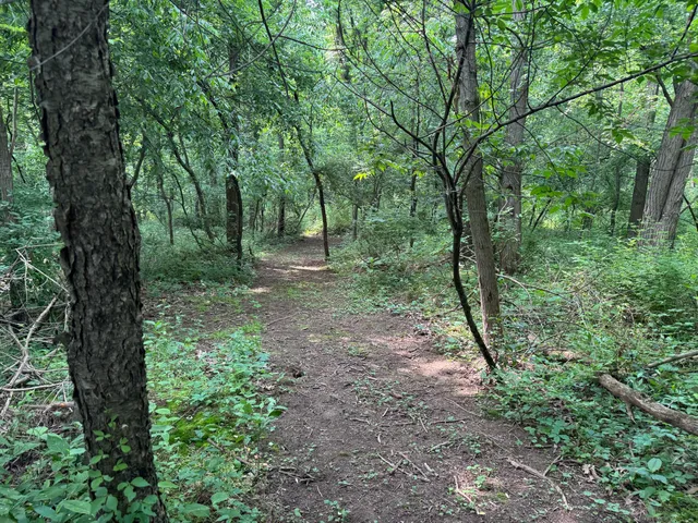 $119,000 | 53644 North Fisher Lake Road, Three Rivers, MI 49093