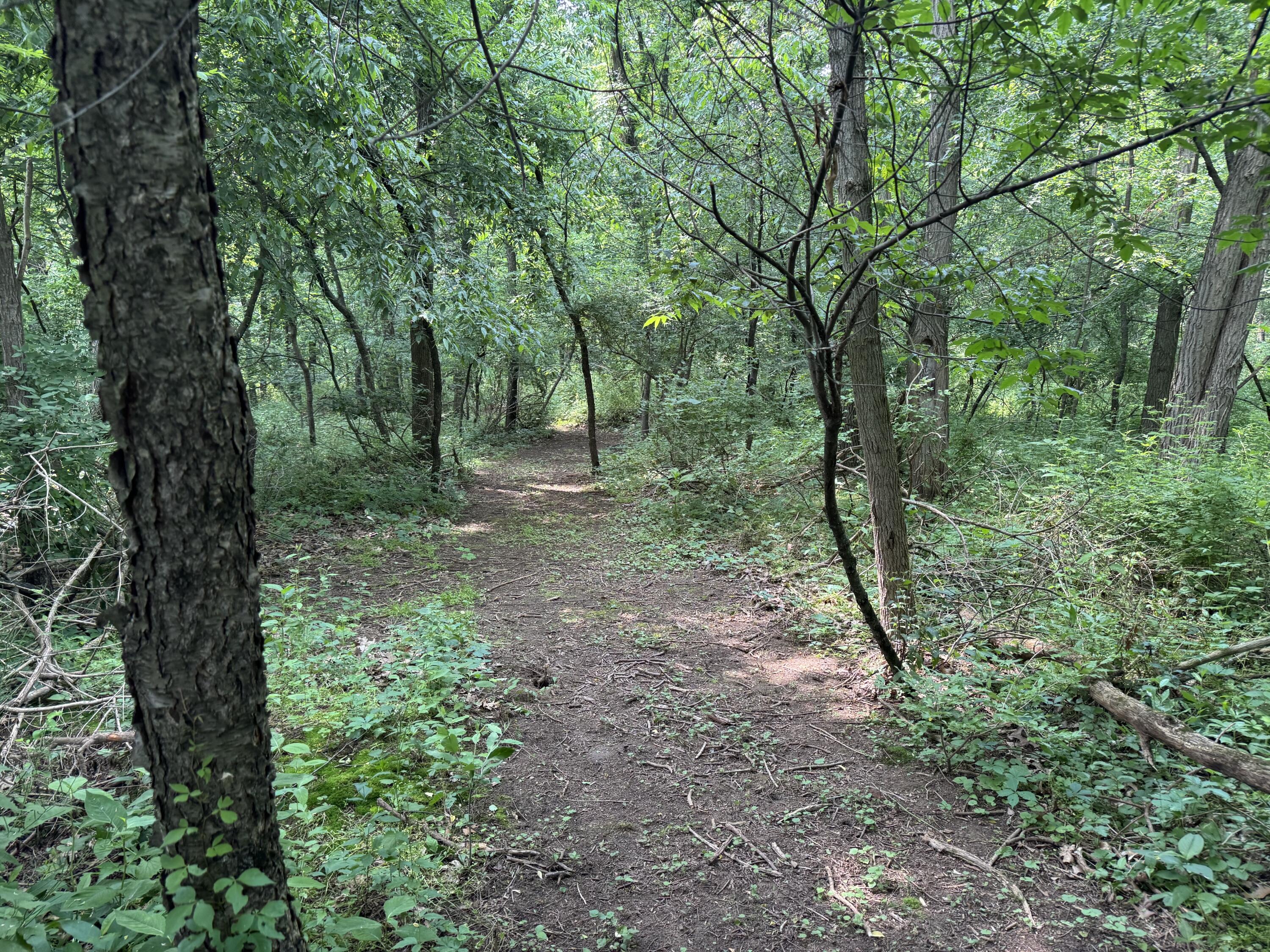 53644 North Fisher Lake Road Three Rivers, MI 49093 - Photo 10 of 27 IMG_0765