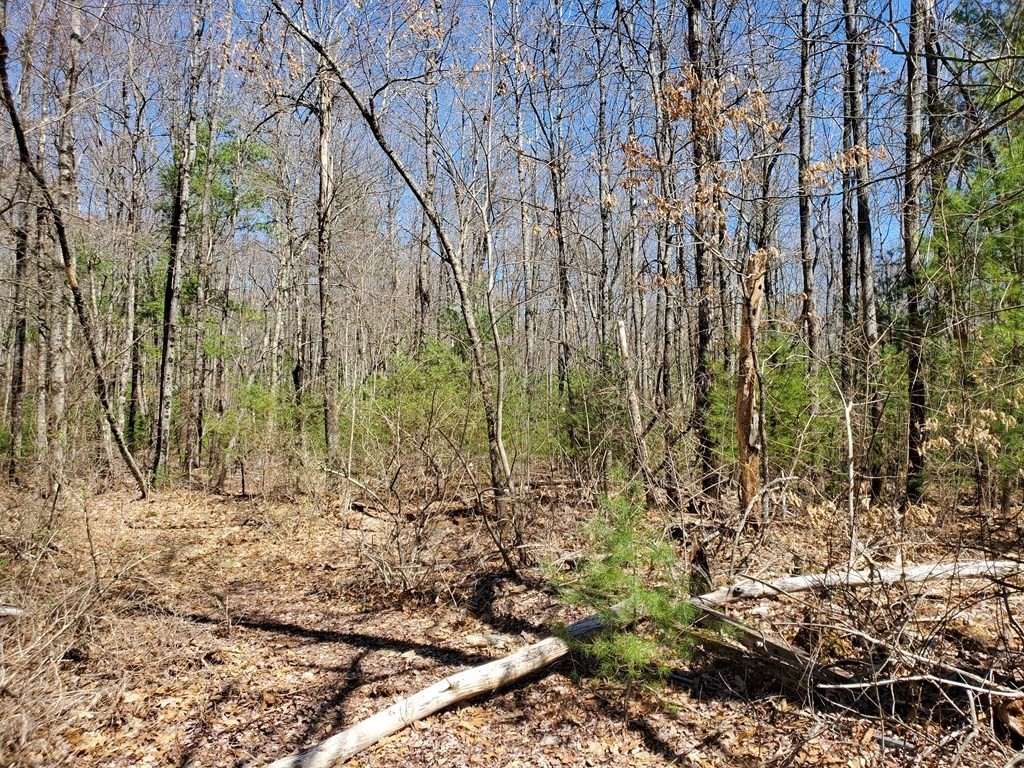 0 Michael Sears Road Belchertown, MA 01007 - Photo 1 of 8 Gallery Image 1