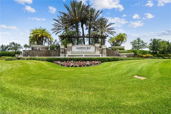 a view of a park with palm trees