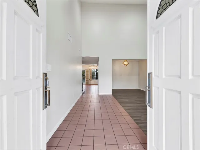 a view of a garden with plants