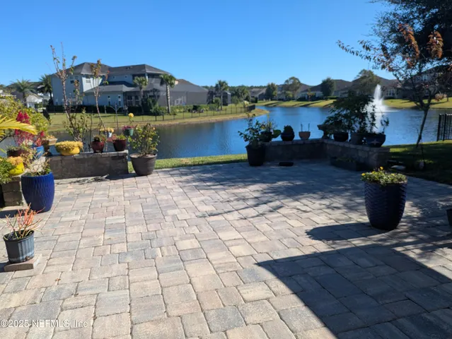 a view of a flowers in a garden