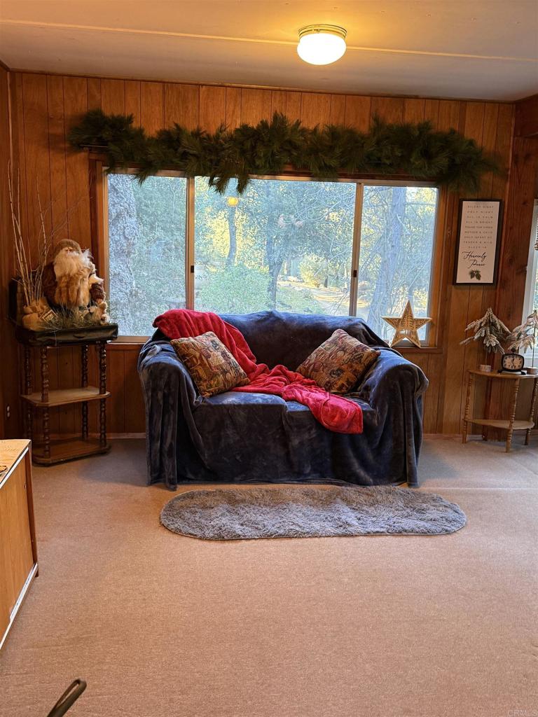 9150- Pine Creek Road, Unit 37 Pine Valley, CA 91962 - Photo 8 of 47