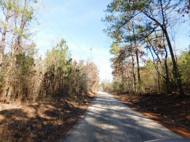 0 Ferguson Justice Road Lincolnton, GA 30817 - Photo 1 of 7 Main View