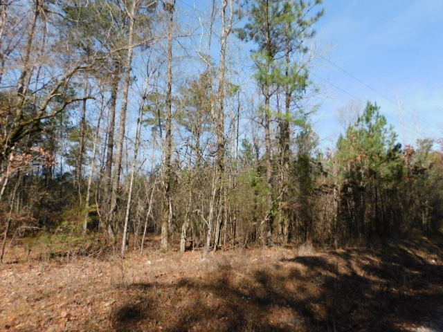 0 Ferguson Justice Road Lincolnton, GA 30817 - Photo 2 of 7 Gallery Image 2