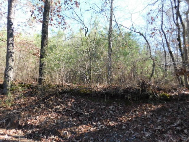 0 Ferguson Justice Road Lincolnton, GA 30817 - Photo 3 of 7 Gallery Image 3