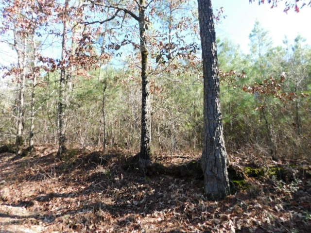 0 Ferguson Justice Road Lincolnton, GA 30817 - Photo 4 of 7 Gallery Image 4