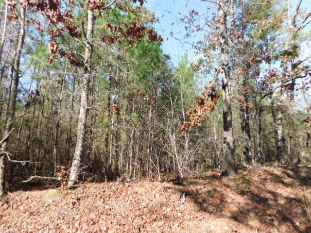 0 Ferguson Justice Road Lincolnton, GA 30817 - Photo 5 of 7 Gallery Image 5