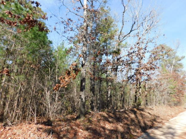 0 Ferguson Justice Road Lincolnton, GA 30817 - Photo 6 of 7 Gallery Image 6