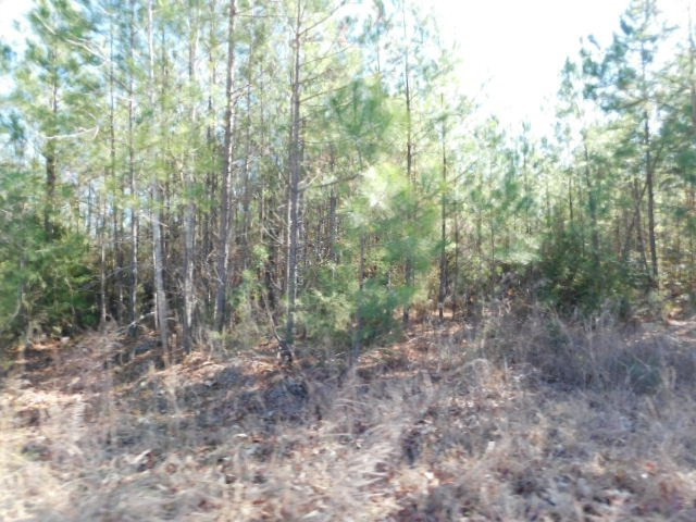 0 Ferguson Justice Road Lincolnton, GA 30817 - Photo 7 of 7 Gallery Image 7