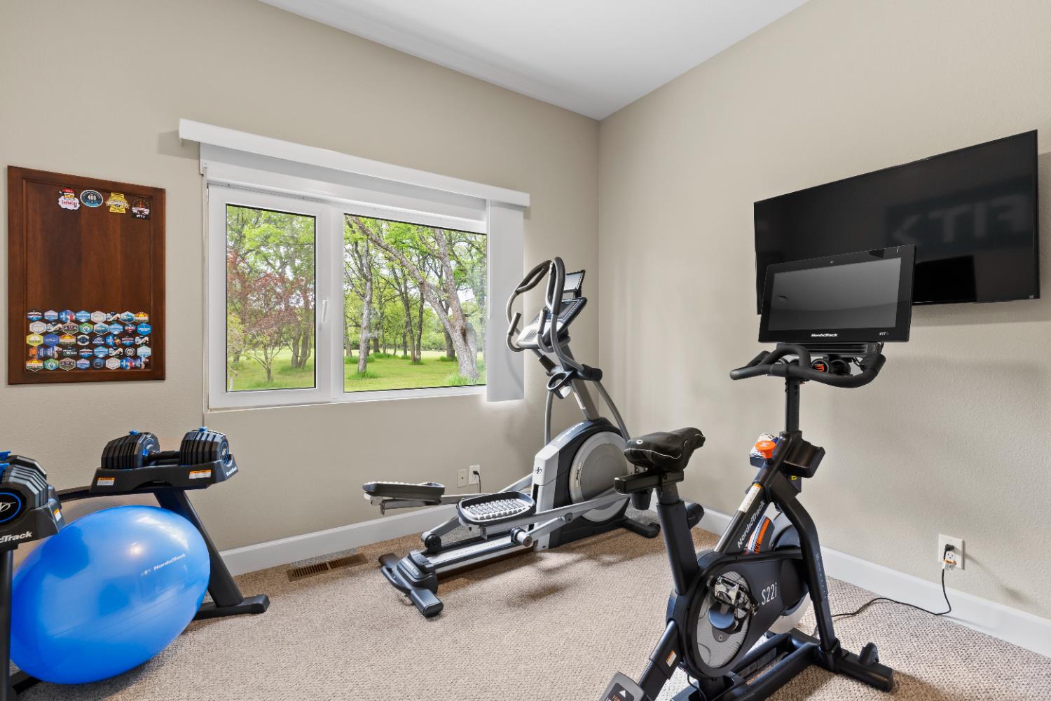 1222 Fruitvale Road Lincoln, CA 95648 - Photo 34 of 90 a view of a room with gym equipment