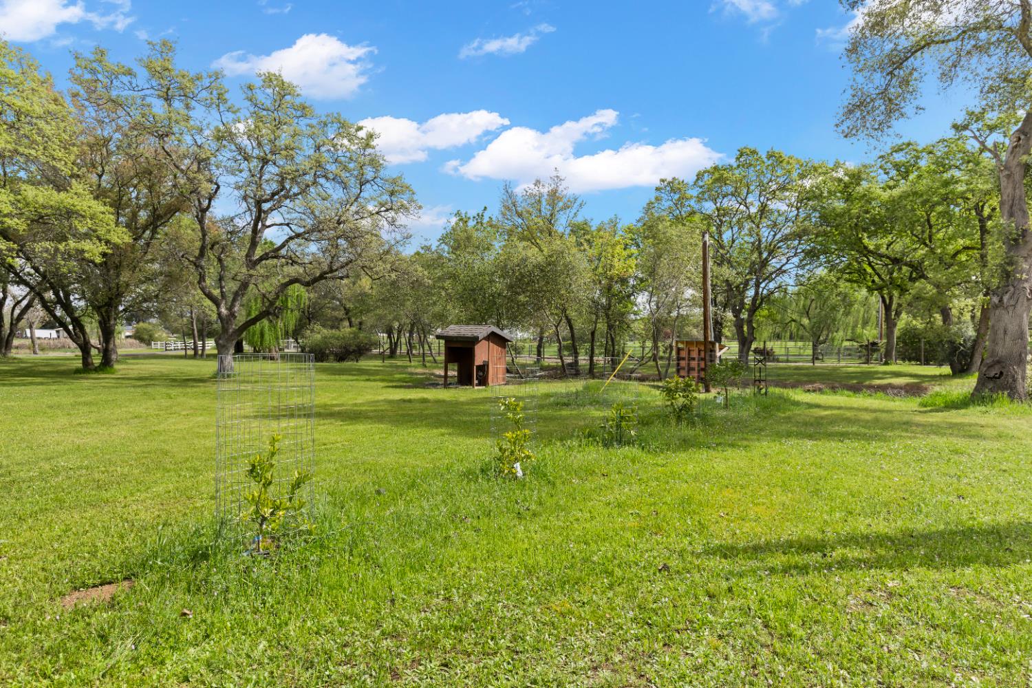 1222 Fruitvale Road Lincoln, CA 95648 - Photo 78 of 90 a green field with lots of trees