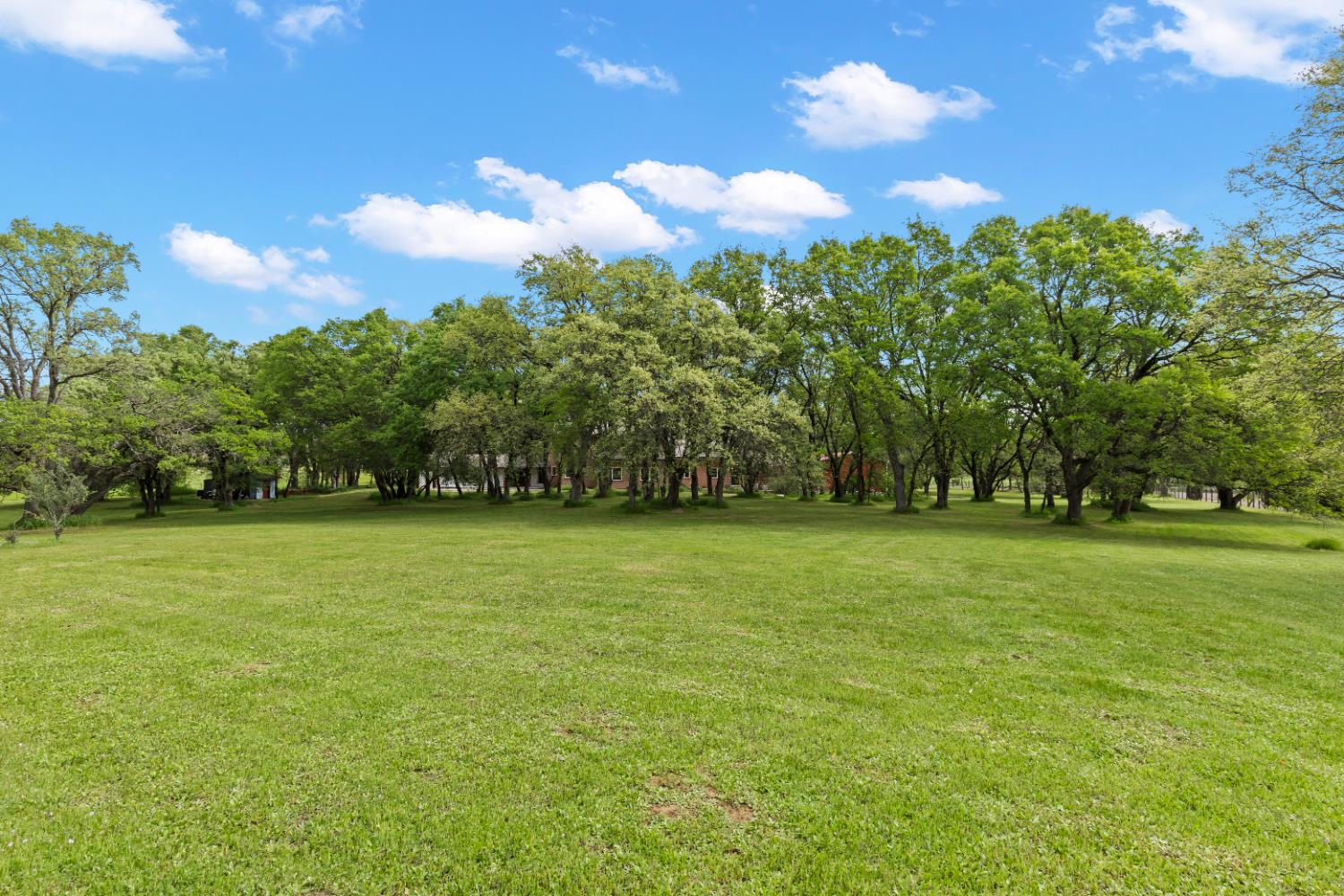 1222 Fruitvale Road Lincoln, CA 95648 - Photo 79 of 90 a view of a field of grass and trees
