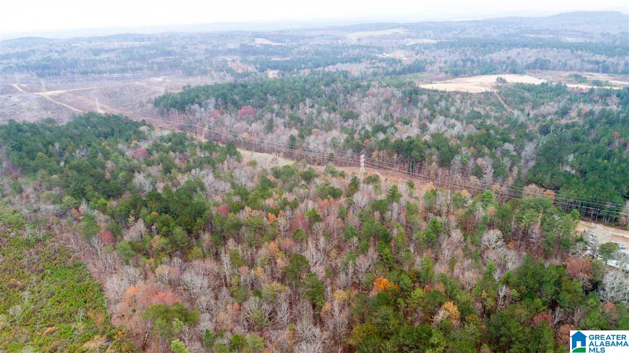 0 Stewart Road, Unit 1 Pell City, AL 35125 - Photo 1 of 1