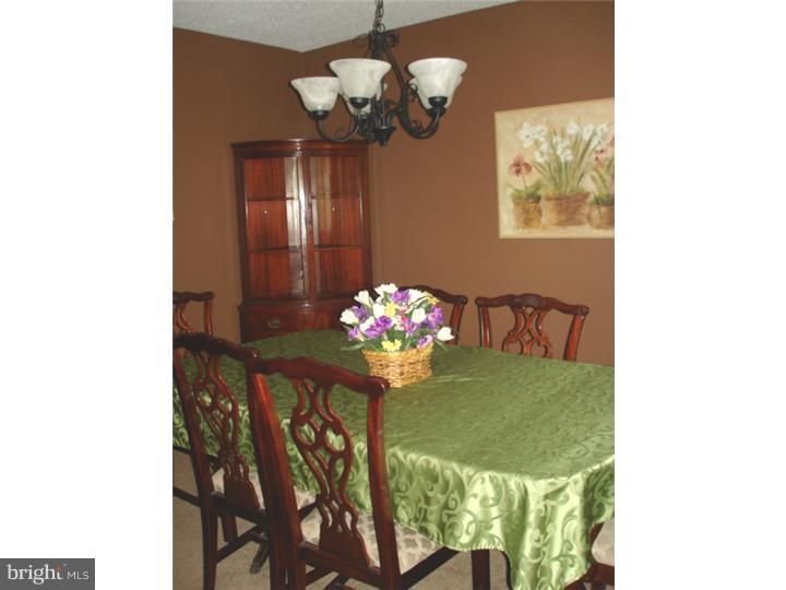 3645 Salina Road Philadelphia, PA 19154 - Photo 7 of 18 Gallery Image 7