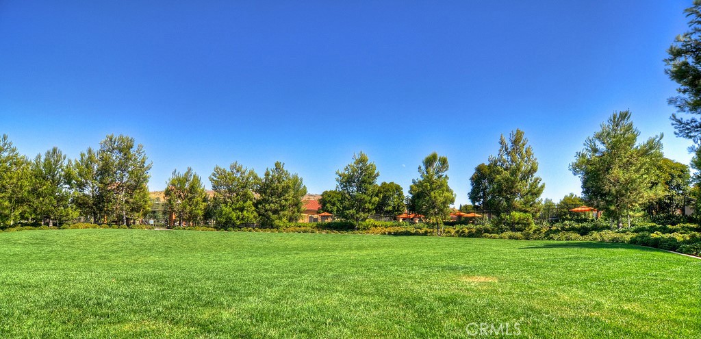 40 Lupari Irvine, CA 92618 - Photo 37 of 56 a view of yard with swimming pool and trees in the background