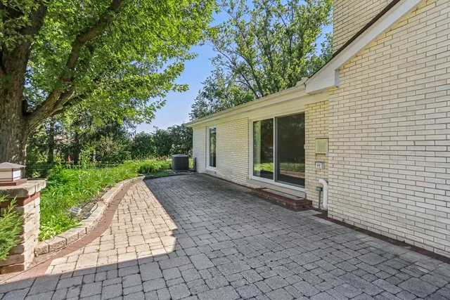 a view of a backyard with plants and large tree