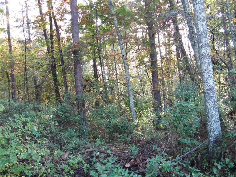 1111 Lane Road London, KY 40741 - Photo 3 of 5 Photo 3