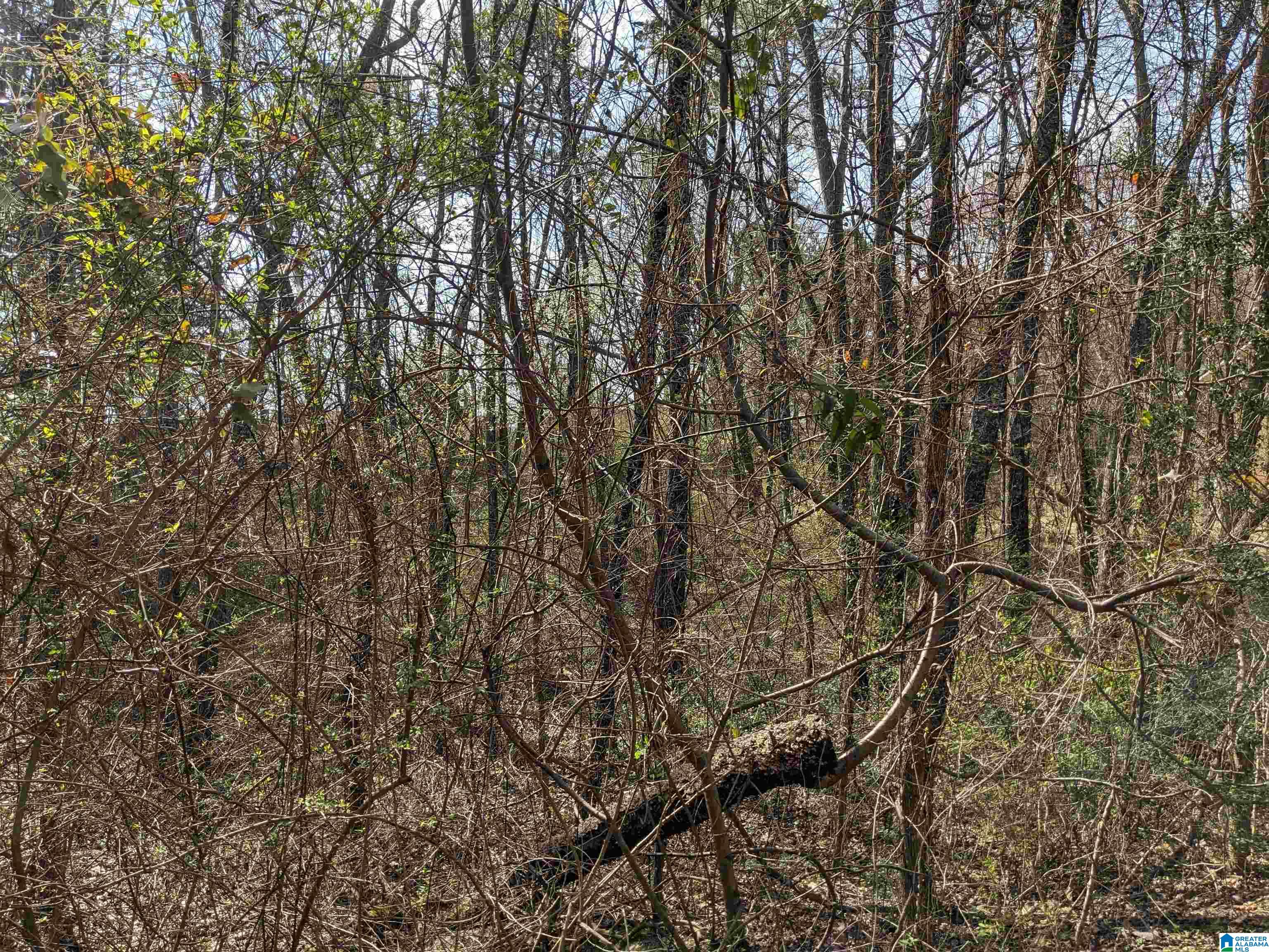 0 Hathaway Heights Road, Unit 2 & 3 Anniston, AL 36207 - Photo 19 of 30