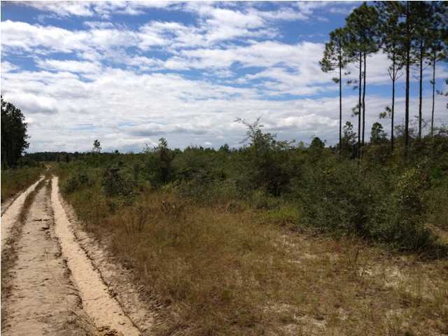 30-acres Joe Dugger Road Freeport, FL 32439 - Photo 1 of 3 Gallery Image 1
