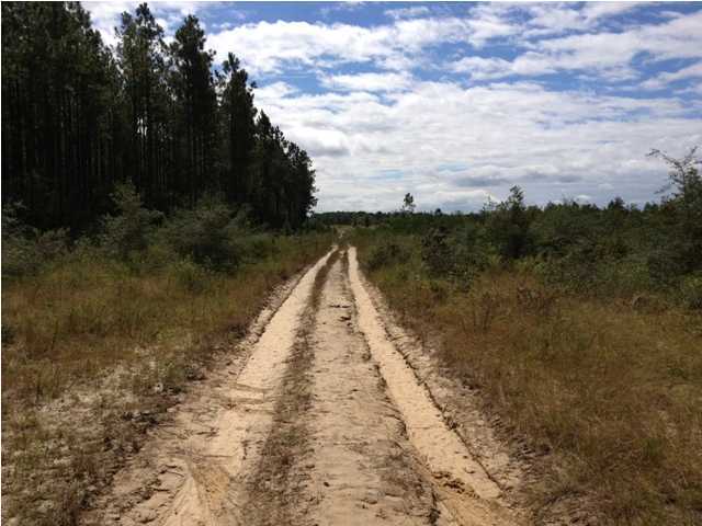 30-acres Joe Dugger Road Freeport, FL 32439 - Photo 2 of 3 Gallery Image 2