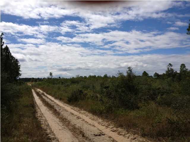 30-acres Joe Dugger Road Freeport, FL 32439 - Photo 3 of 3 Gallery Image 3