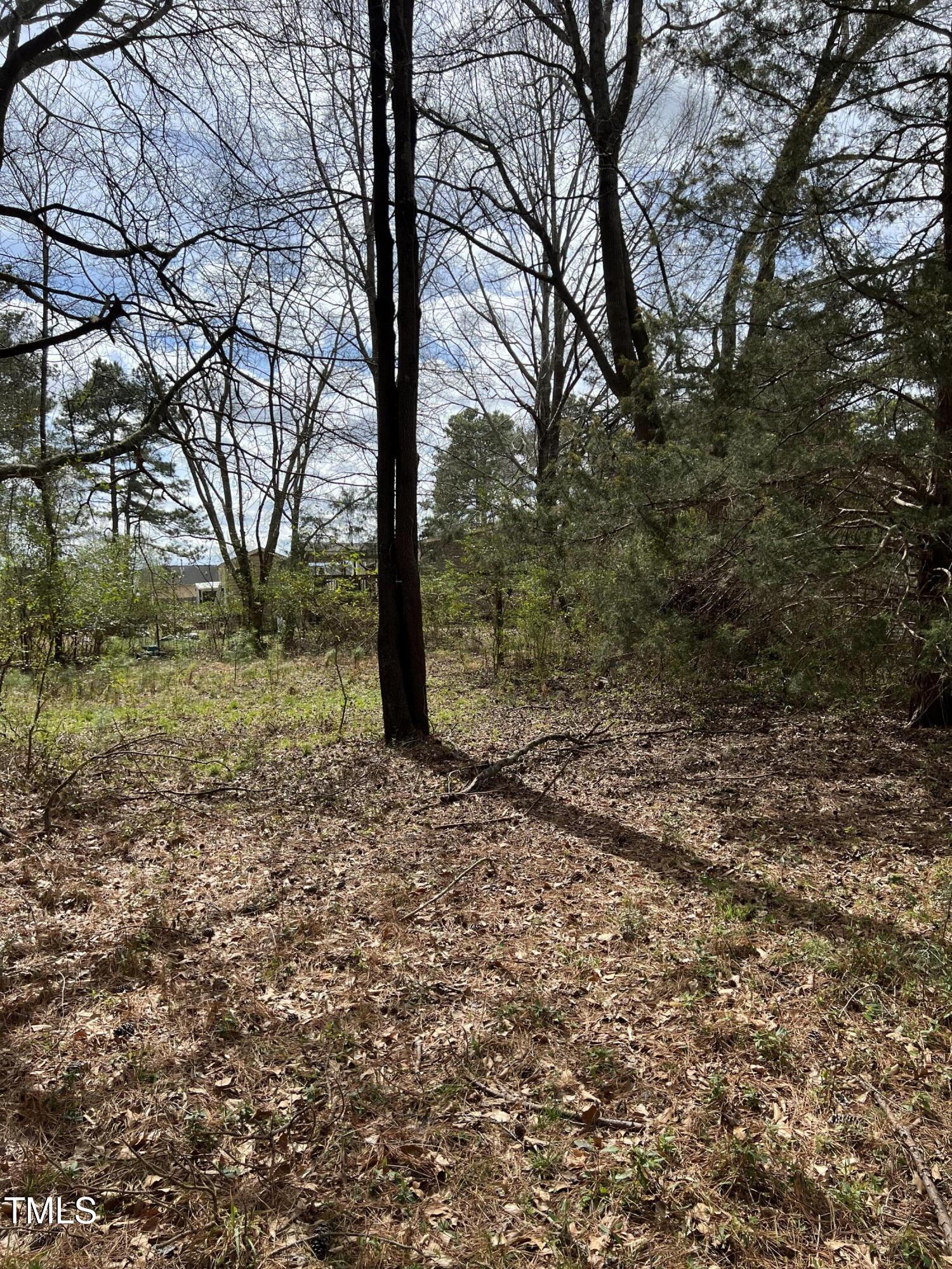 2721 Floyd Drive Raleigh, NC 27610 - Photo 6 of 6 IMG_1379