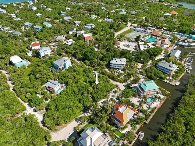 a close up of a flower in a garden