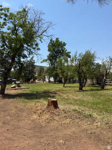 785 Hardscrabble Road Morgan, UT 84050 - Photo 6 of 16 Expansive outdoor space featuring a large grassy area, mature trees, and visible open land