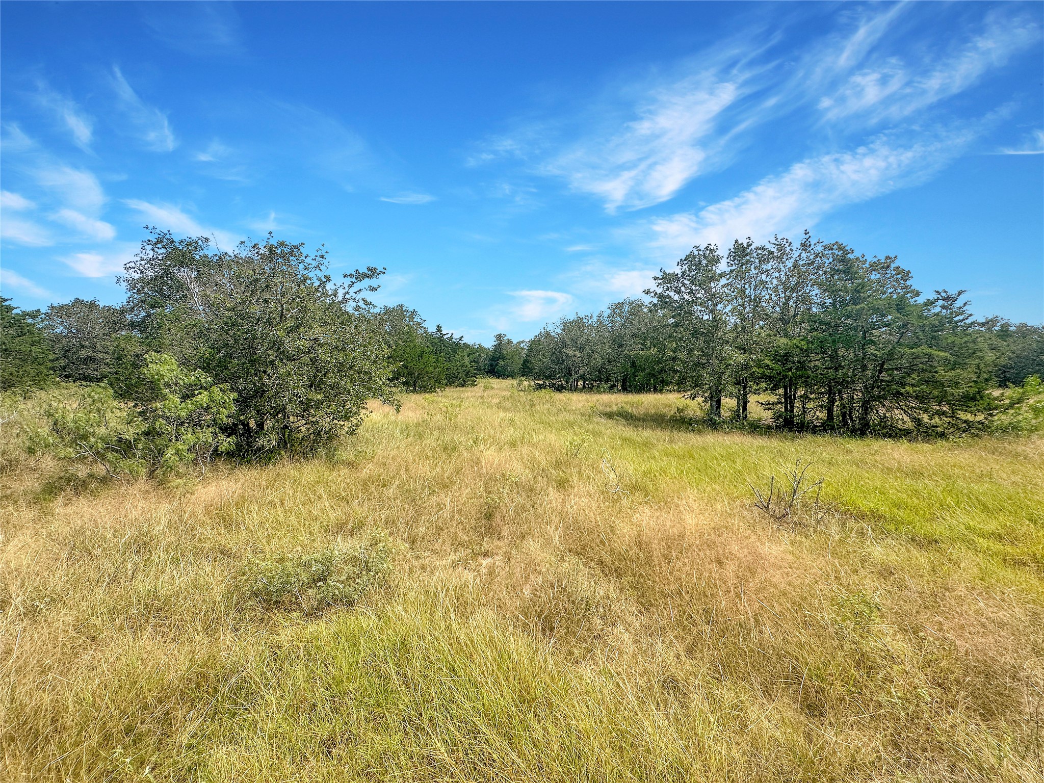 1345 Davis Road Muldoon, TX 78949 - Photo 13 of 25 a view of yard with swimming pool and trees in the background