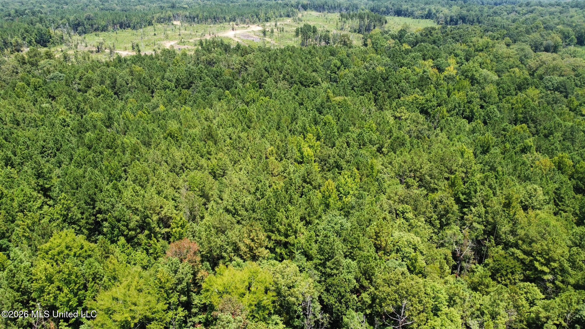 84 Highway 84 Roxie, MS 39661 - Photo 30 of 33 33