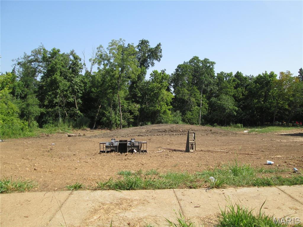 Lot 38 Scottsvale Ava, MO 65608 - Photo 1 of 5