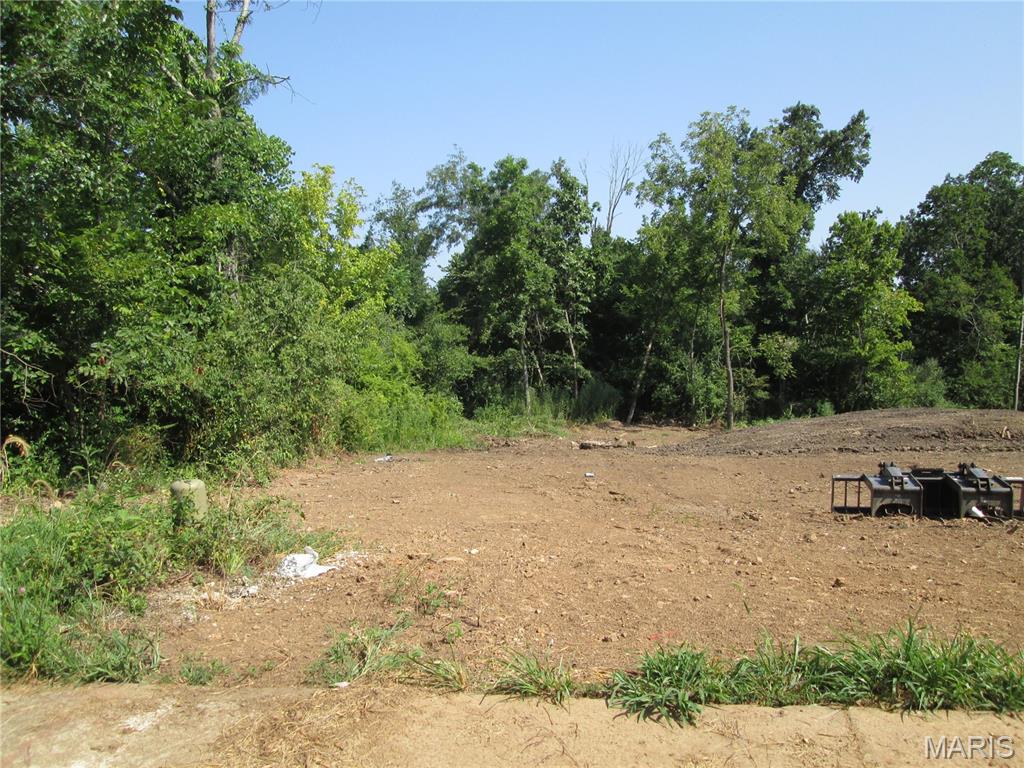 Lot 38 Scottsvale Ava, MO 65608 - Photo 3 of 5