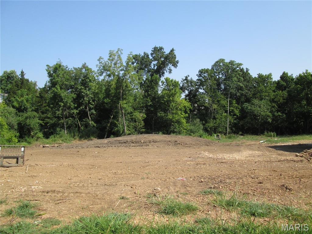 Lot 38 Scottsvale Ava, MO 65608 - Photo 4 of 5