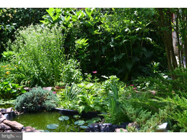 587 Arbor Road Morrisville, PA 19067 - Photo 17 of 20 Lake / Pond