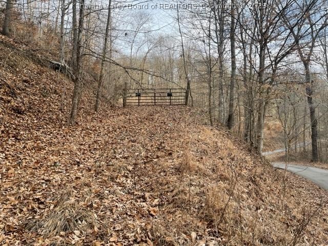 0 Six Mile Road Midkiff, WV 25540 - Photo 6 of 12 Gallery Image 6