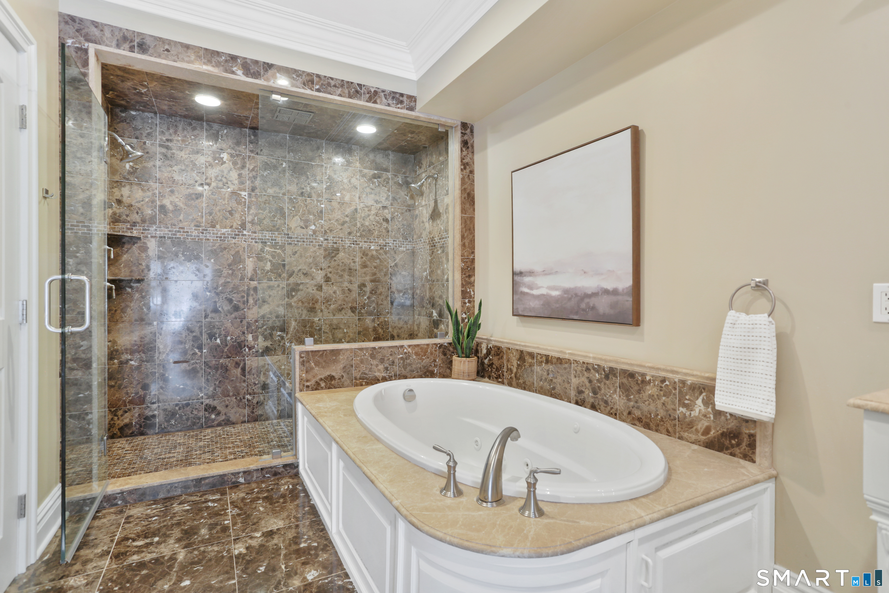 2 Trout Creek Road, Unit 2 Shelton, CT 06484 - Photo 22 of 38 Double-sized marble shower featuring dual shower heads and a rain shower and Kohler soaking tub.